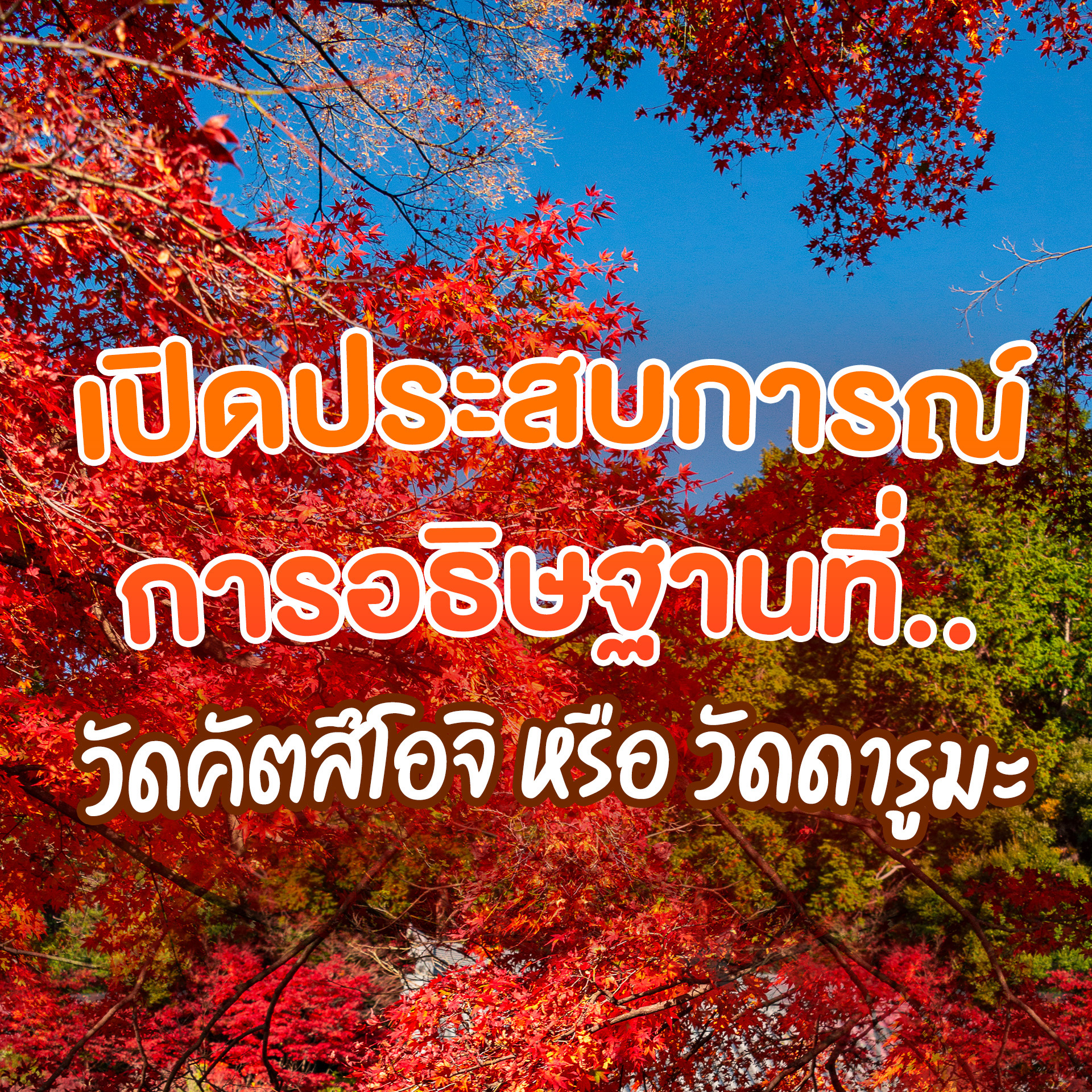 หากคุณหลงใหลในวัฒนธรรมญี่ปุ่น ไม่ควรพลาดการเยี่ยมชม วัดคัตสึโอจิ หรือ วัดดารูมะ สถานที่ศักดิ์สิทธิ์ที่มีอายุกว่า 1,300 ปีในเมืองมิโน จังหวัดโอซาก้า พบกับตุ๊กตาดารูมะสีแดงที่เป็นสัญลักษณ์แห่งความสำเร็จและโชคลาภ