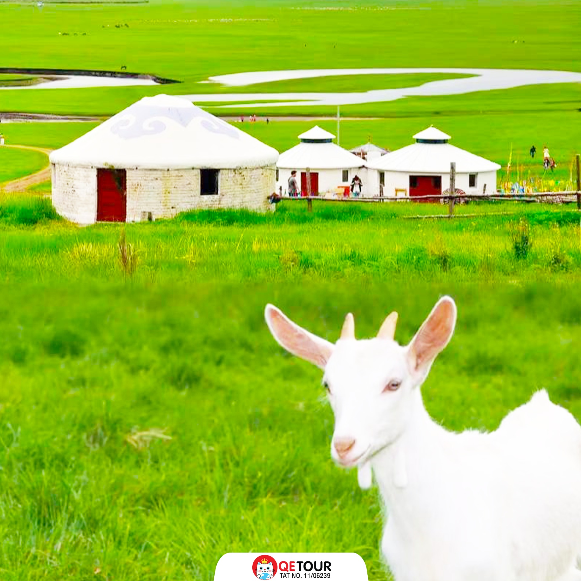 มองโกเลีย เที่ยว