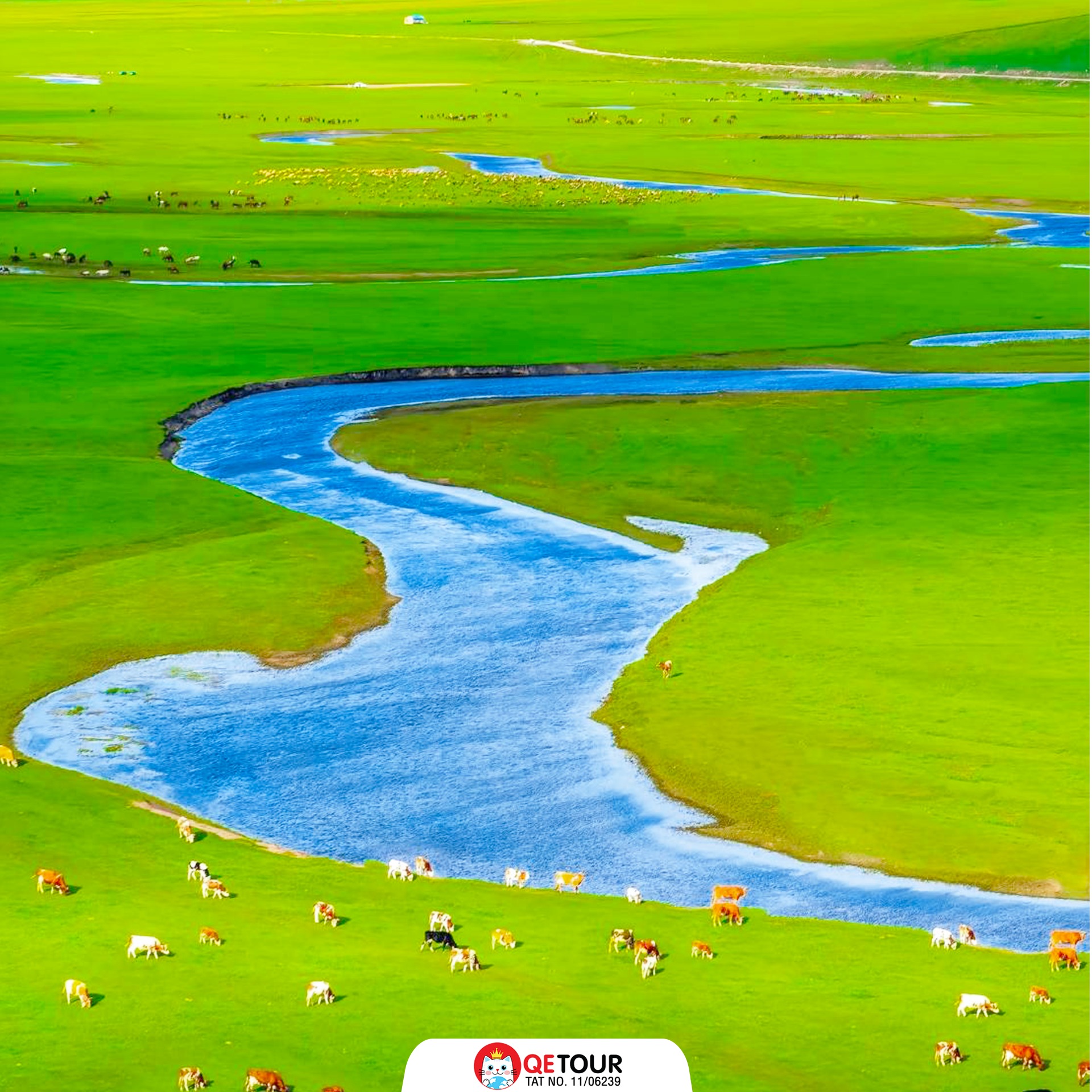 มองโกเลีย เที่ยว