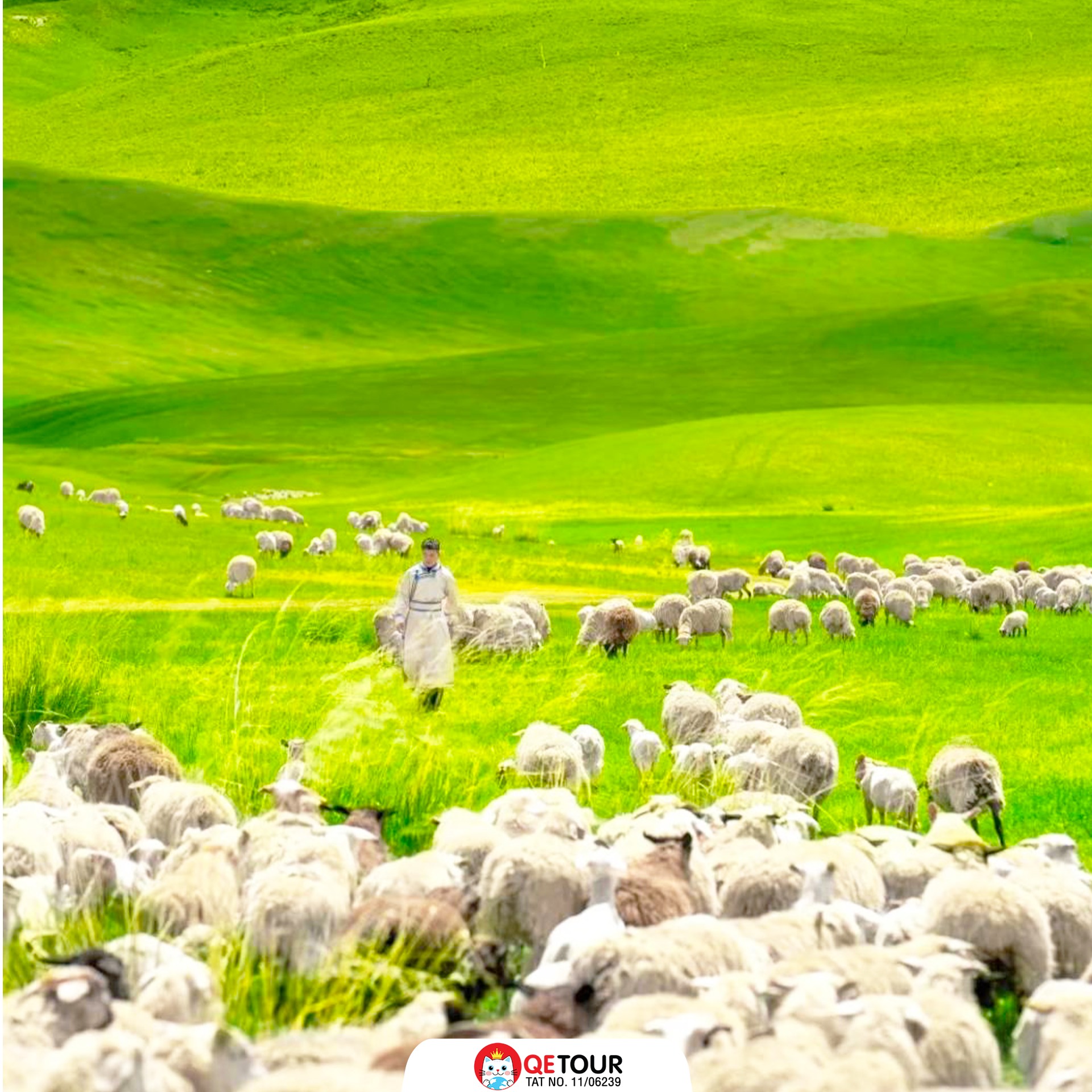 มองโกเลีย เที่ยว