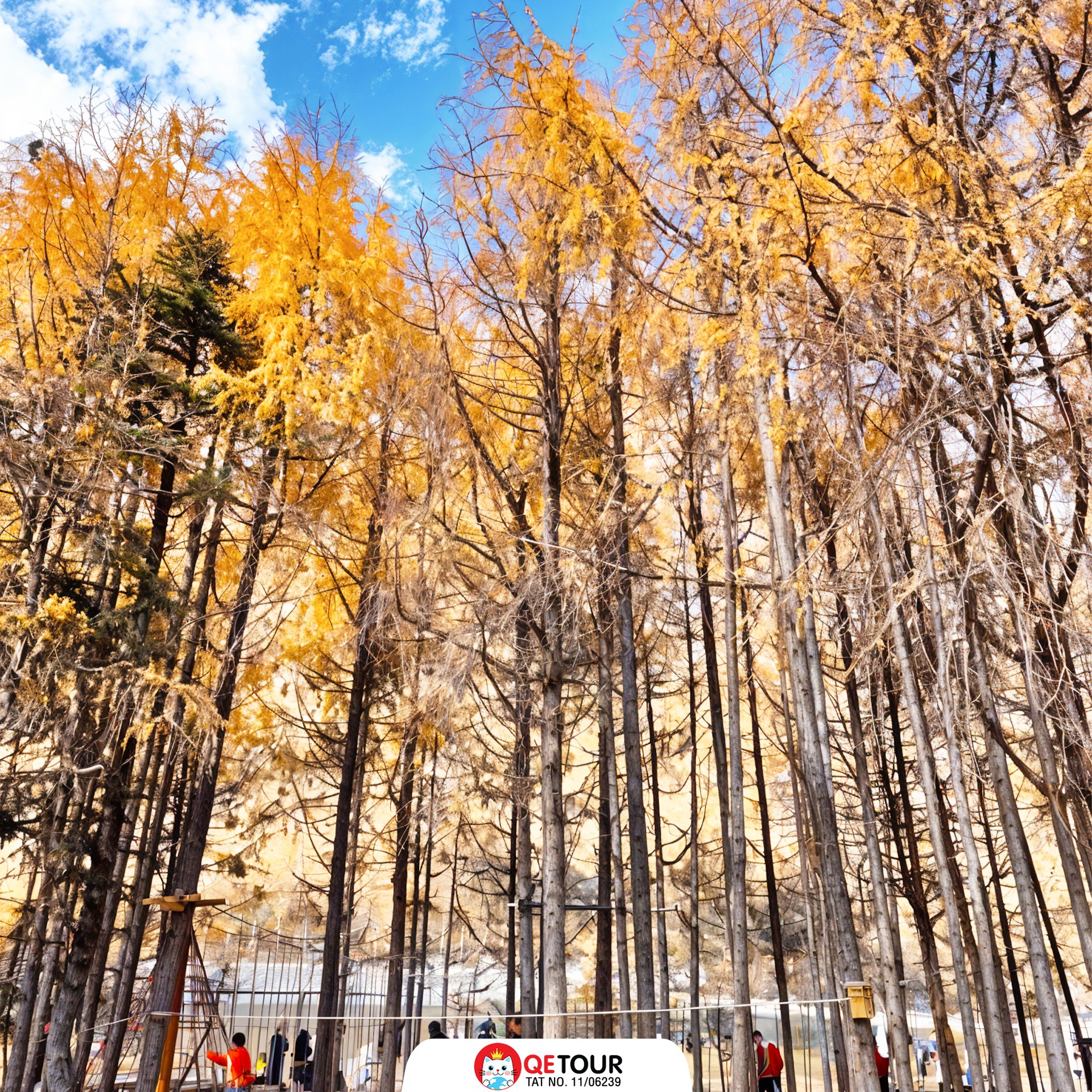 อุทยานปี้เผิงโกว รีวิว