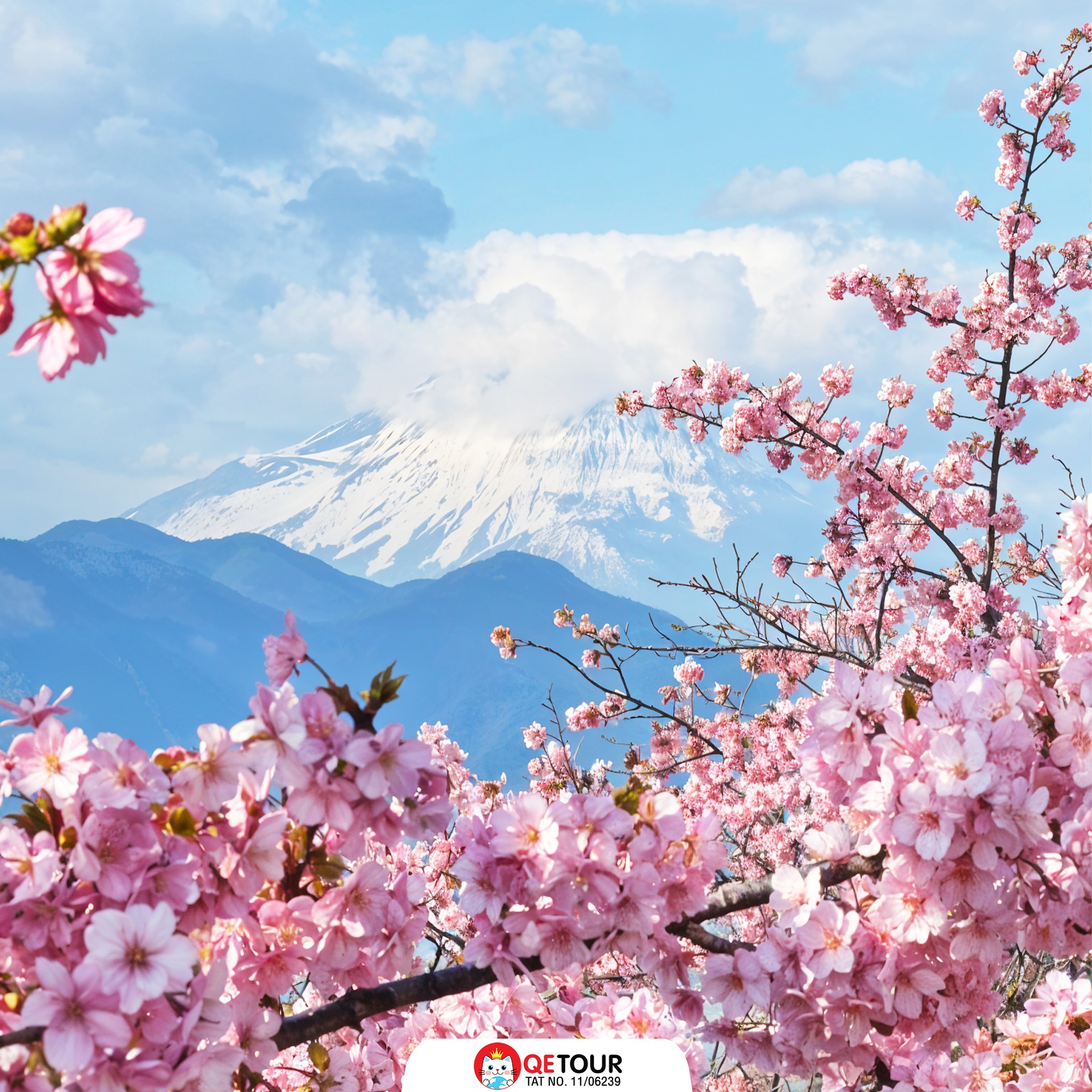 เทศกาลซากุระ มัตสึดะ