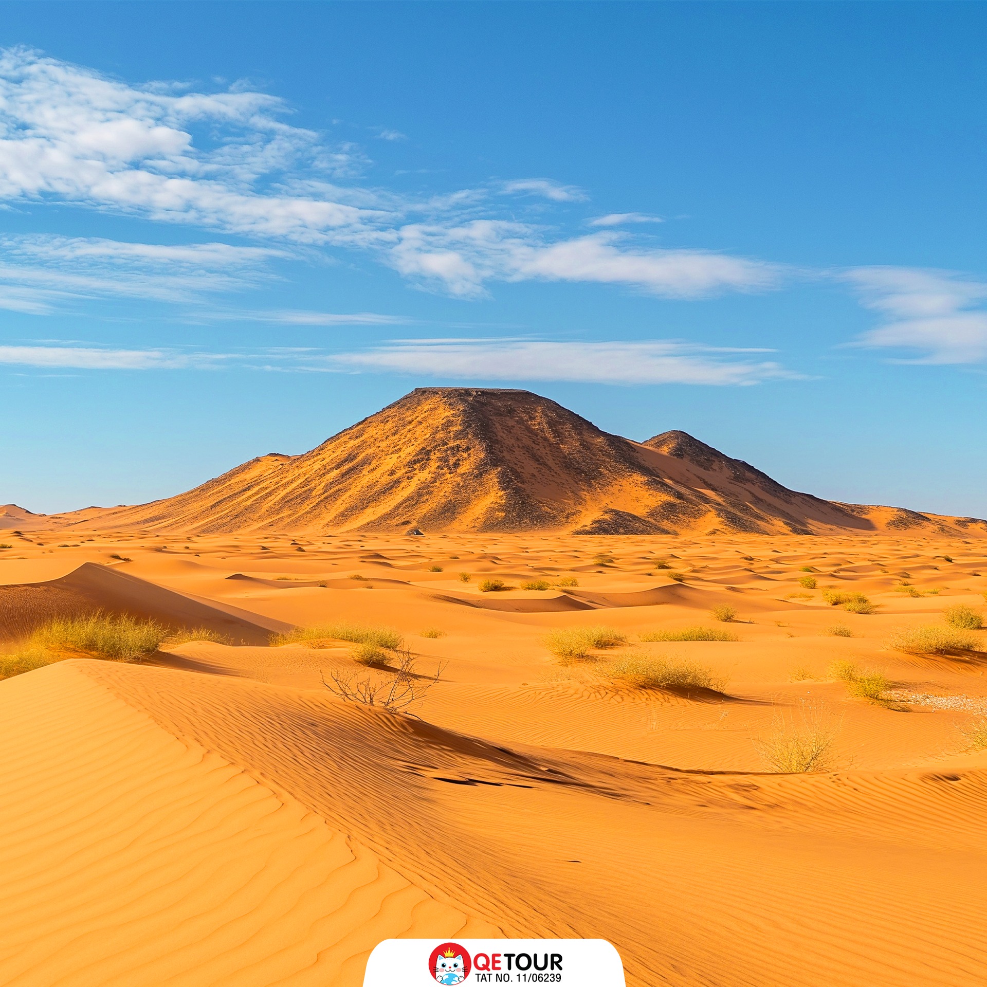 ทะเลทรายซาฮาร่า