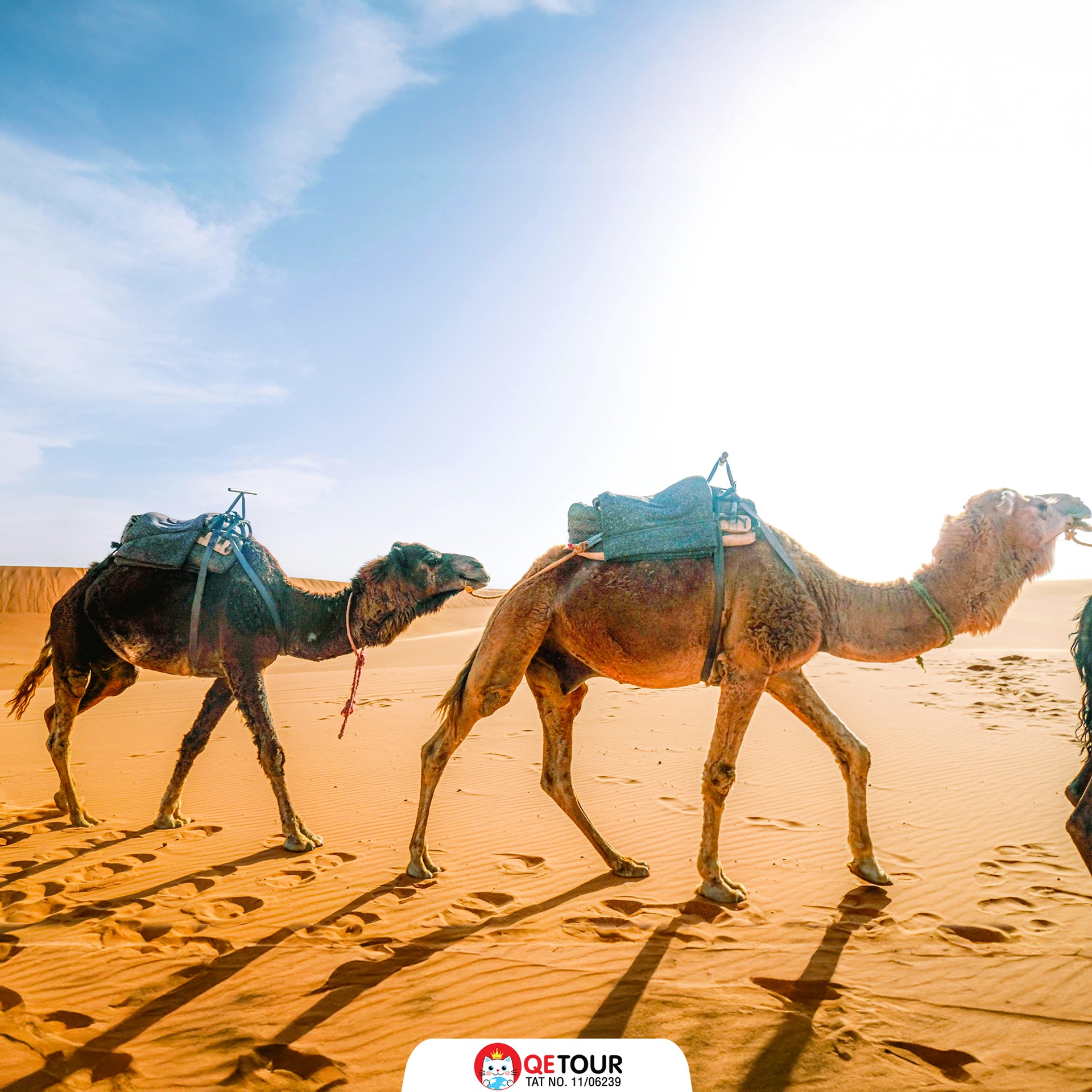 ทะเลทรายซาฮาร่า