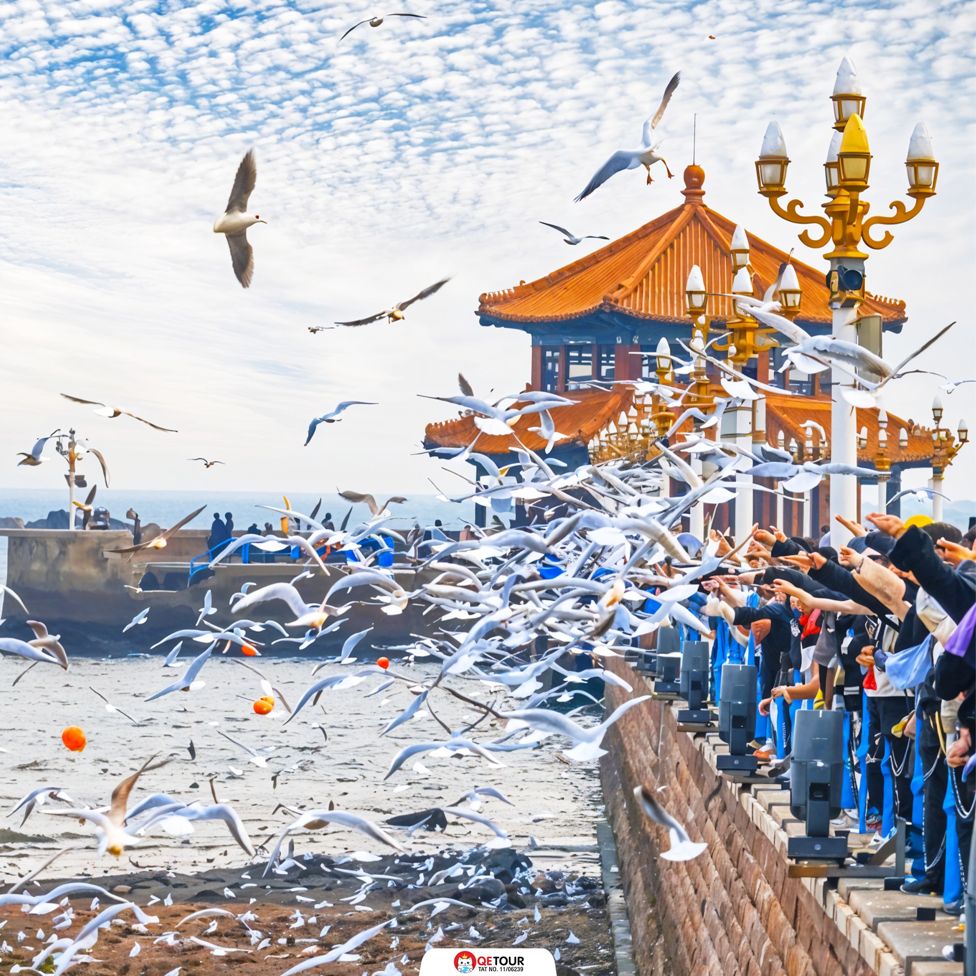 ท่าเรือจ้านเฉียว