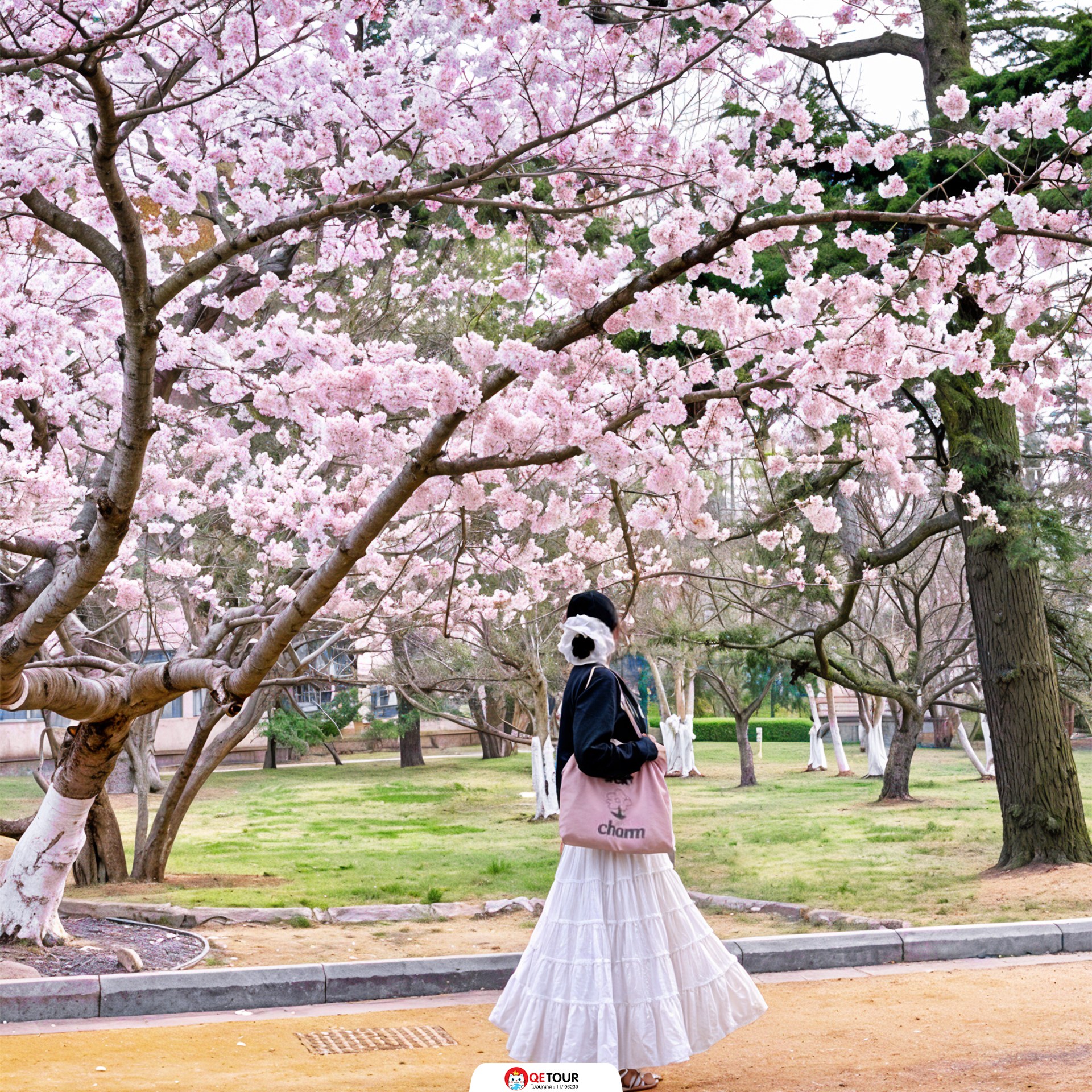 สวนจงซาน ชิงเต่า