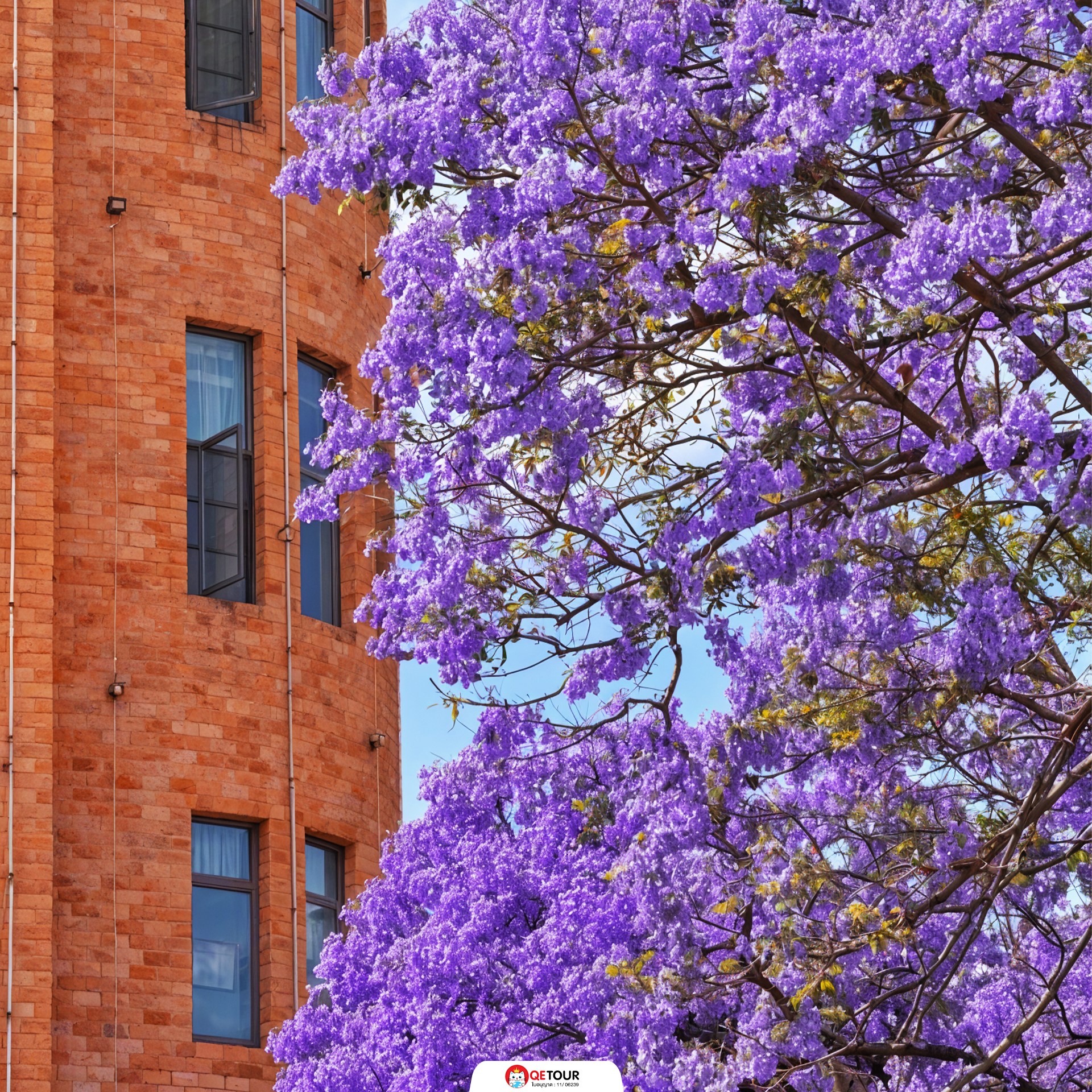 ถนนดอกศรีตรัง คุนหมิง