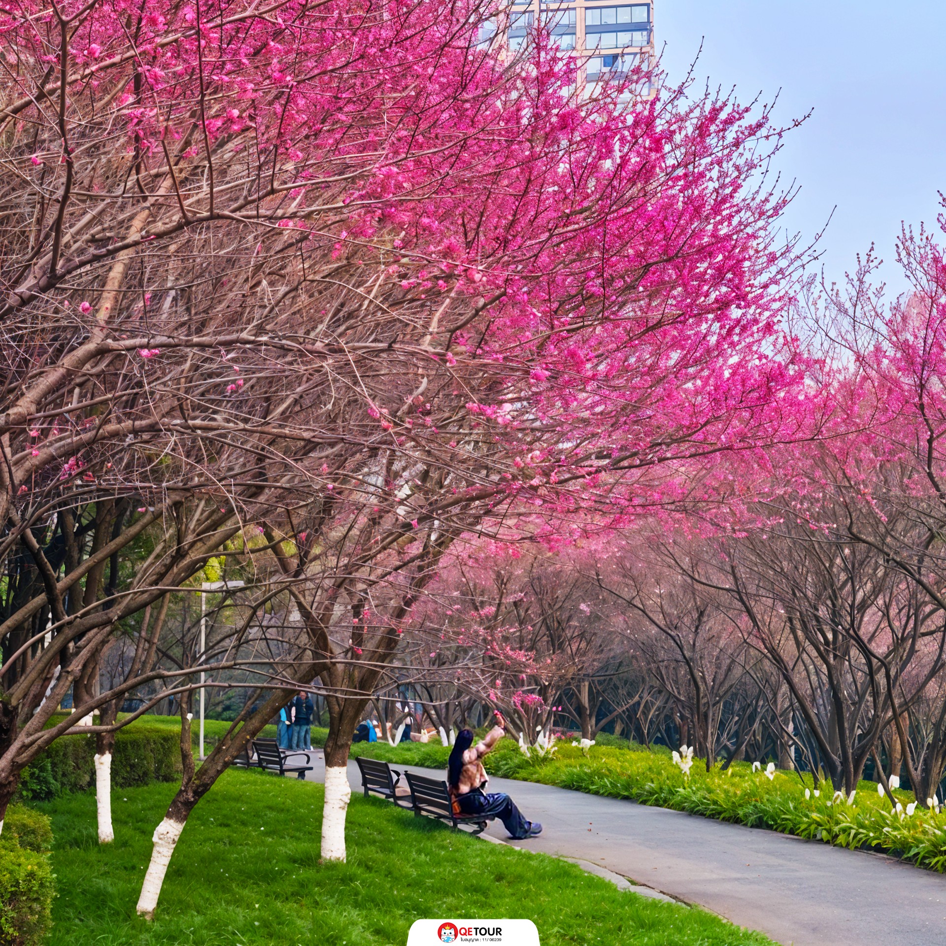 สวนจงยาง ฉงชิ่ง