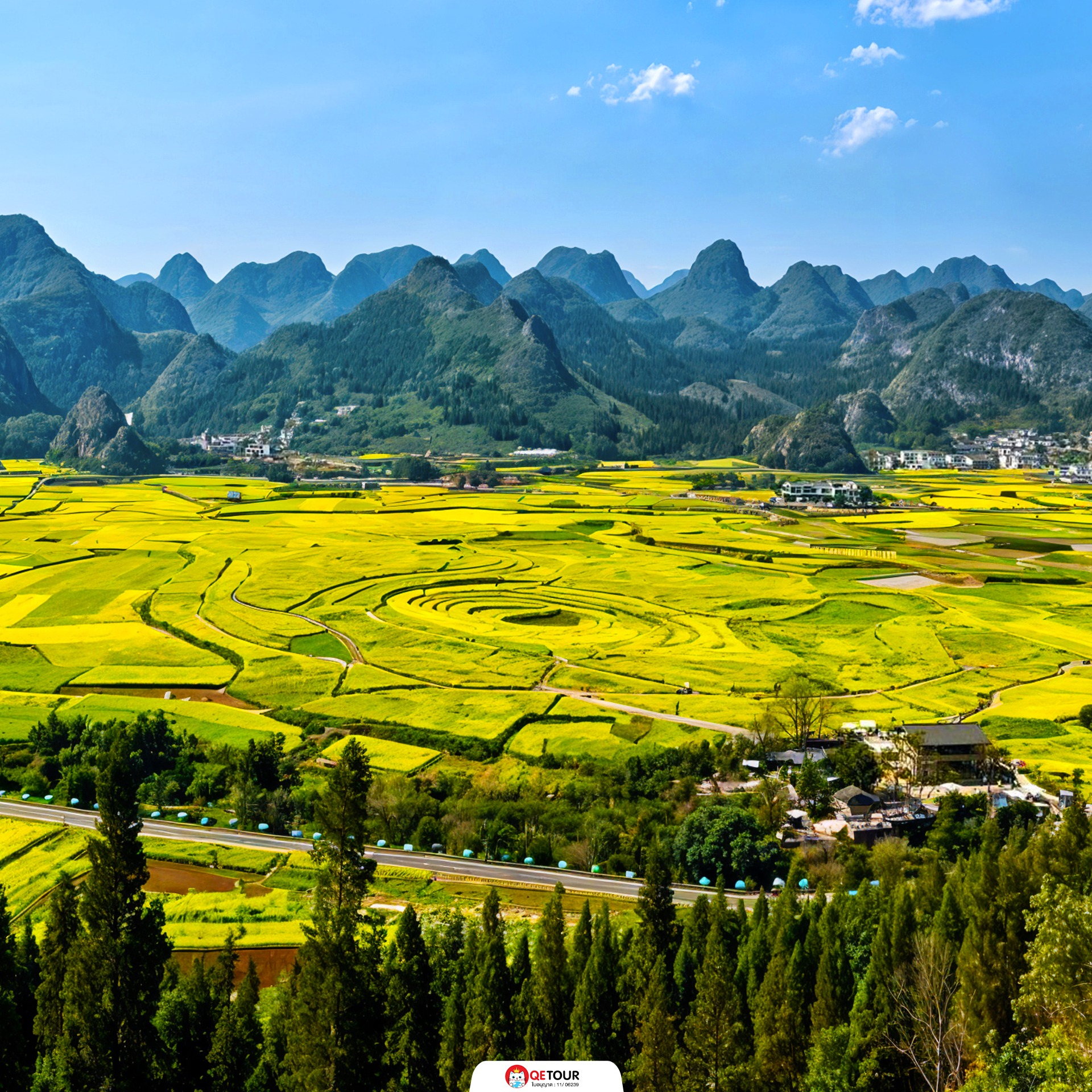 ว่านเฟิงหลิน