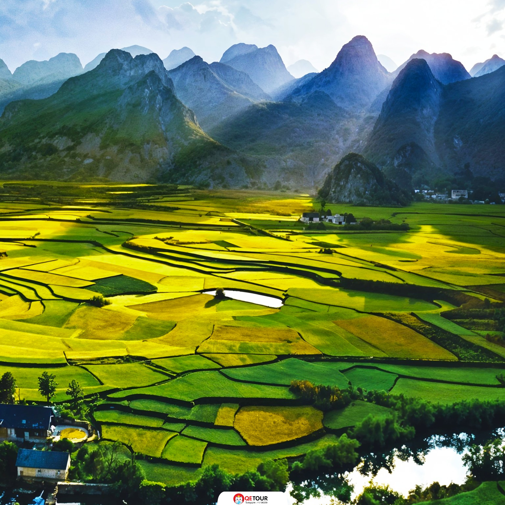 ว่านเฟิงหลิน