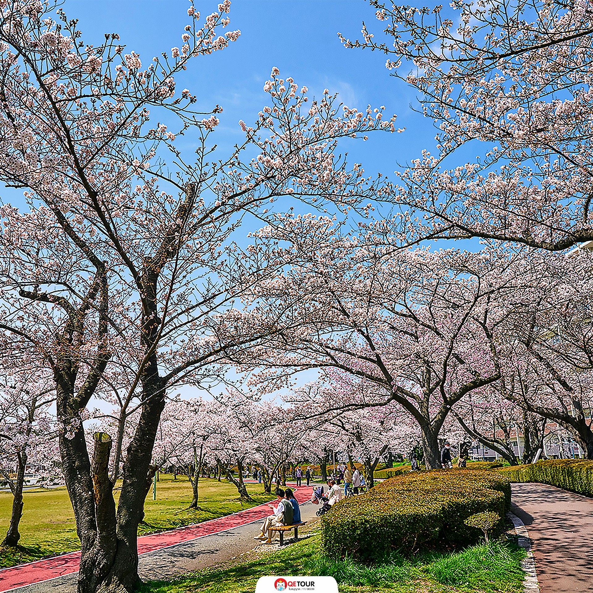 สวนไคเซซังเอ็น