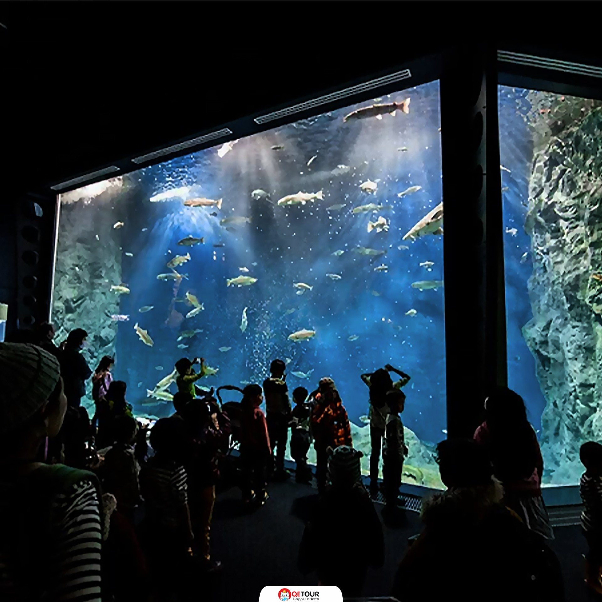 พิพิธภัณฑ์แซลมอนชิโตเสะ