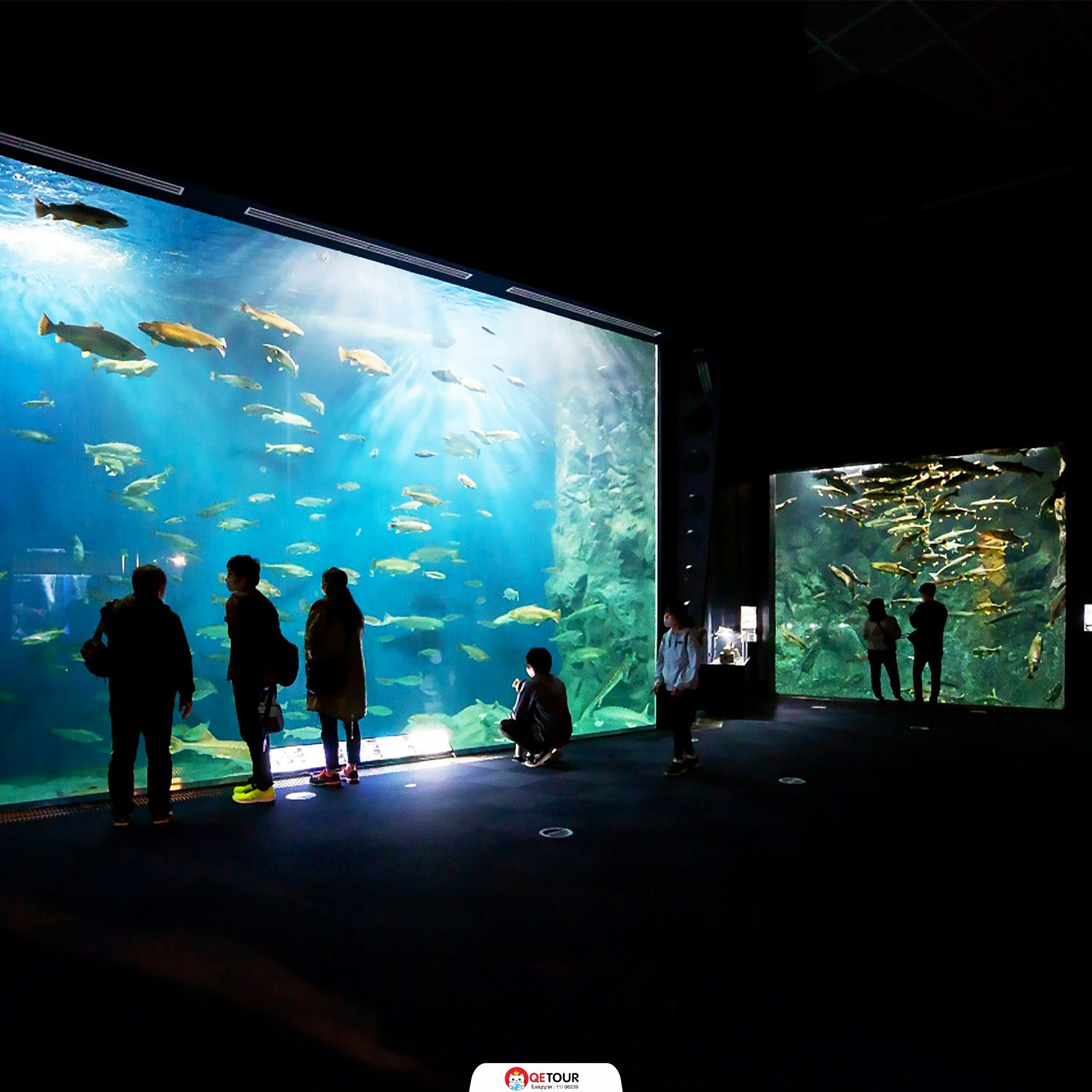 พิพิธภัณฑ์แซลมอนชิโตเสะ