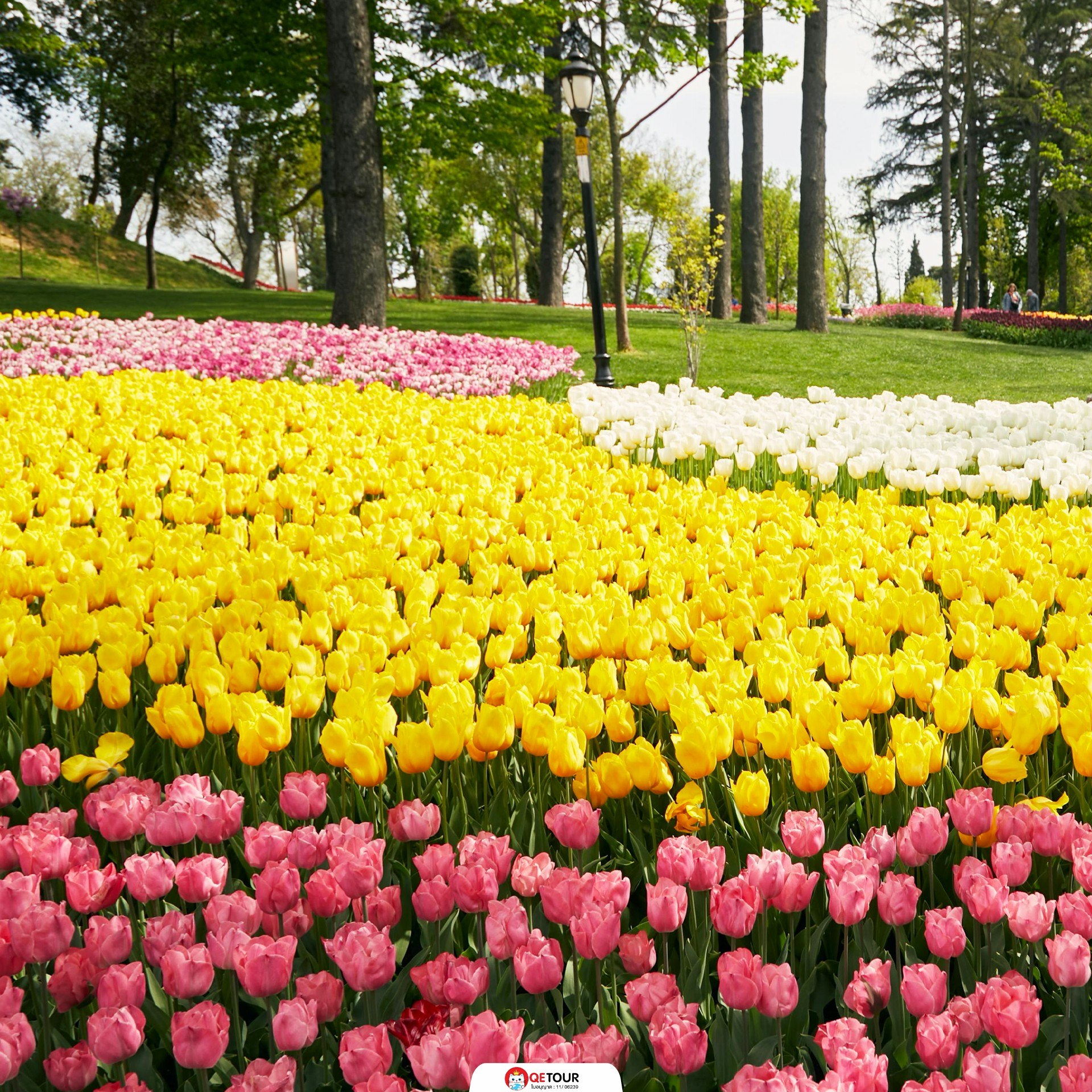 เทศกาลดอกไม้ อิสตันบูล