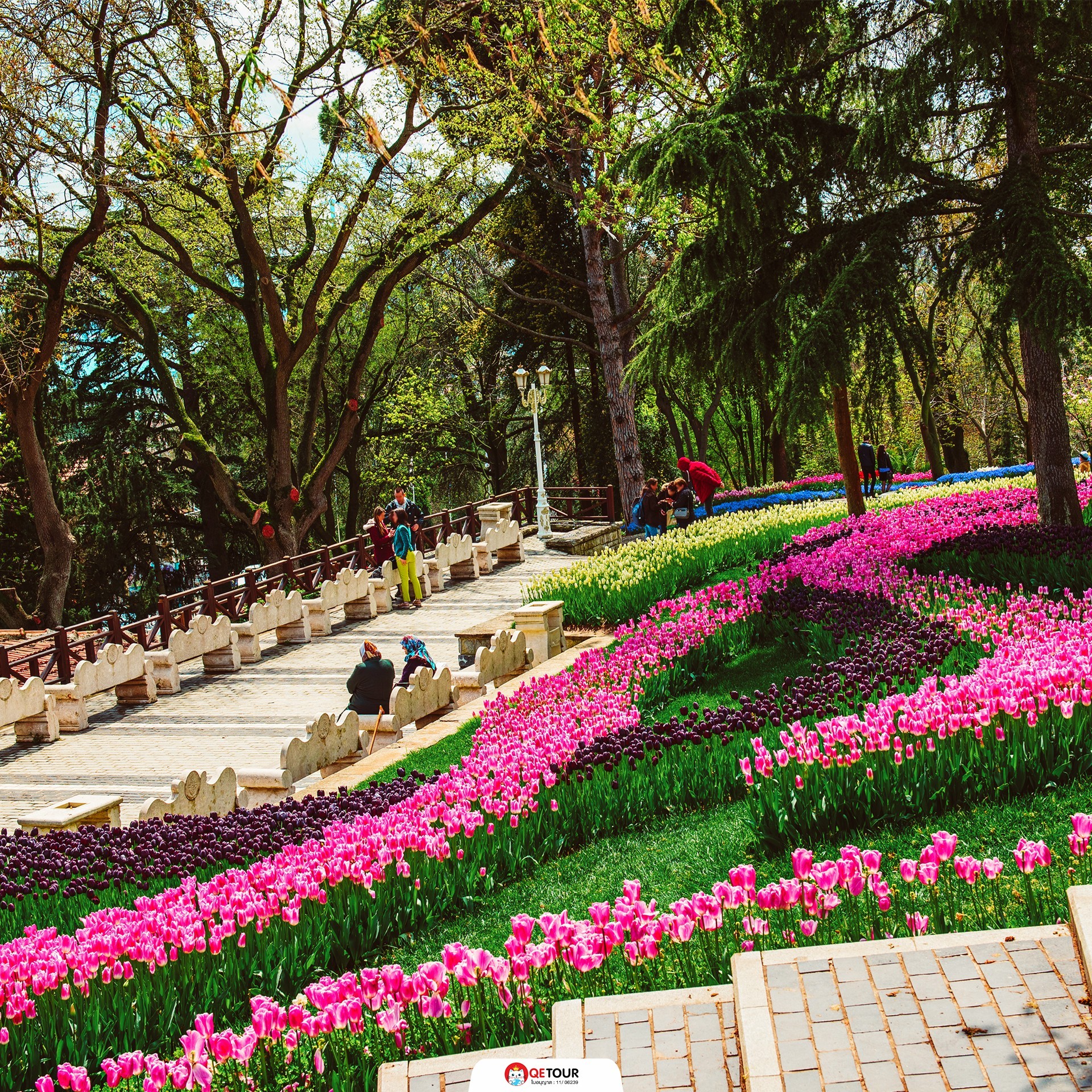 เทศกาลดอกไม้ อิสตันบูล