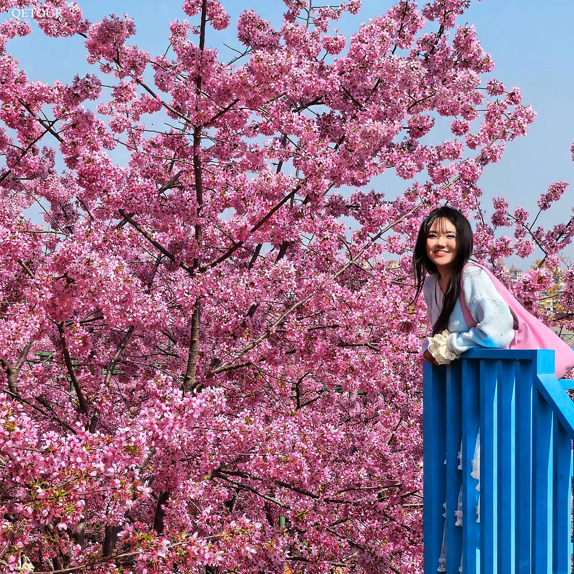 สวนดอกไม้manhua manor