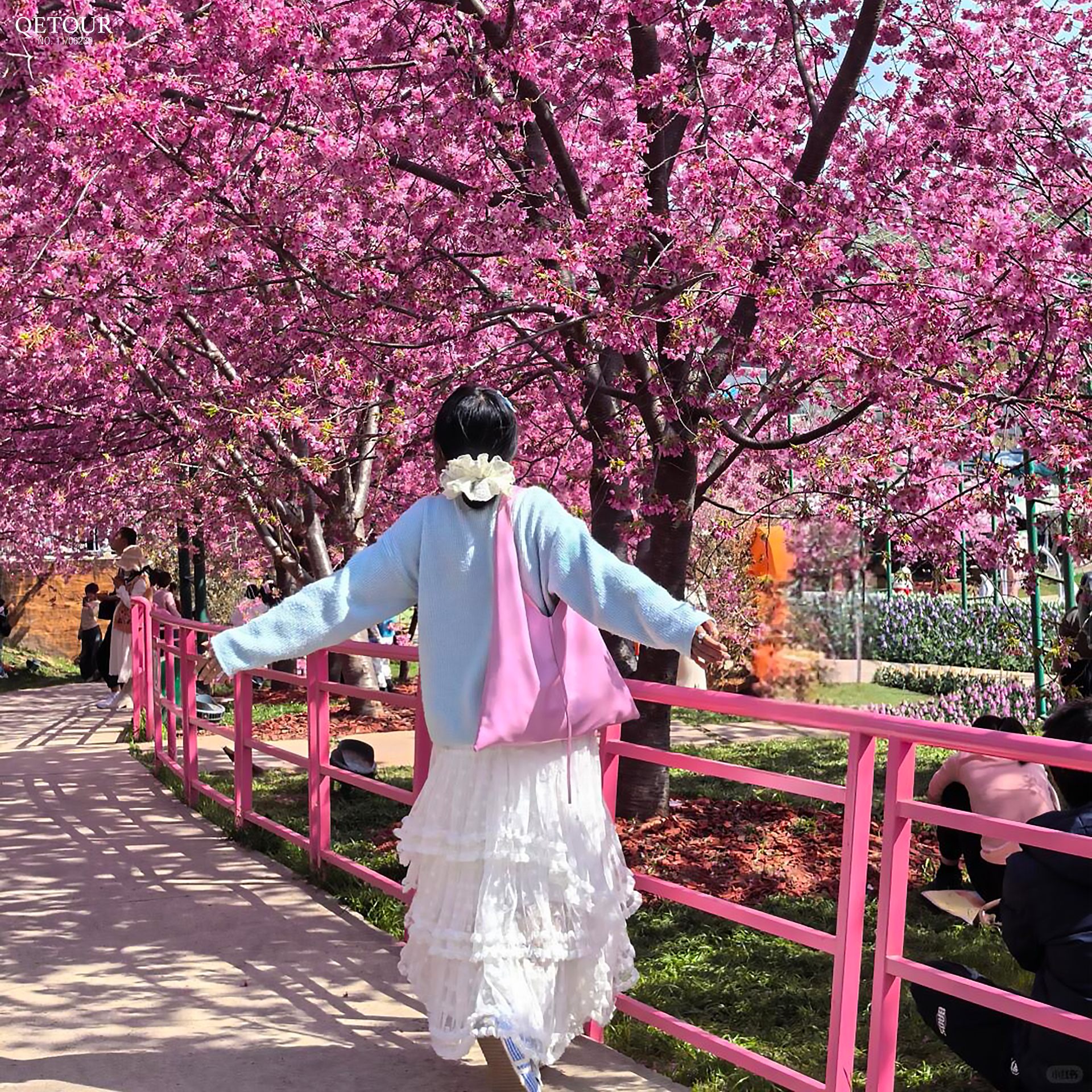 สวนดอกไม้manhua manor