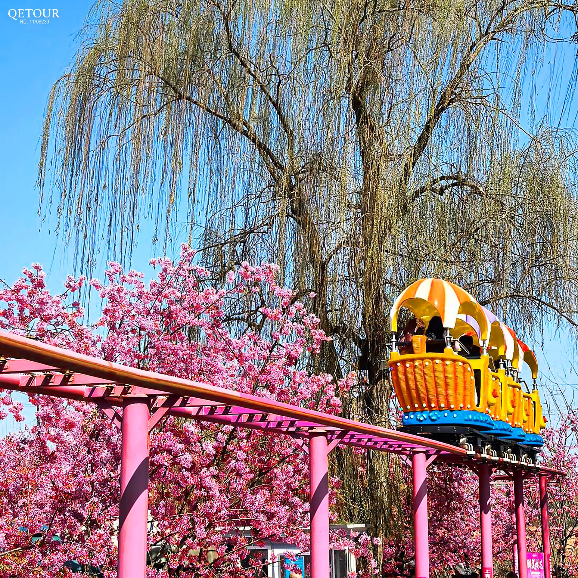 สวนดอกไม้manhua manor