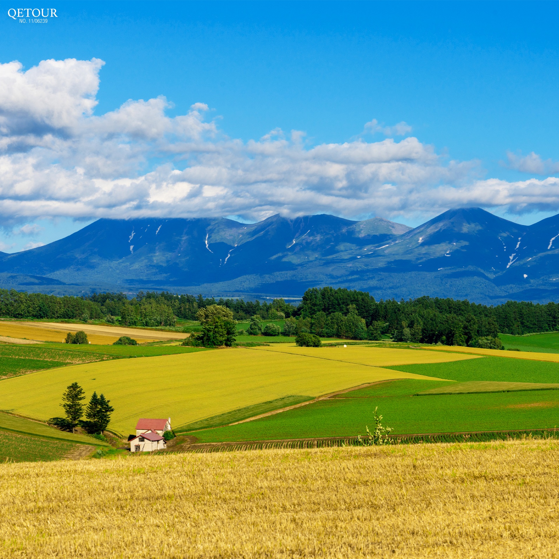 ทุ่งหญ้าบิเอะ ฮอกไกโด รีวิว