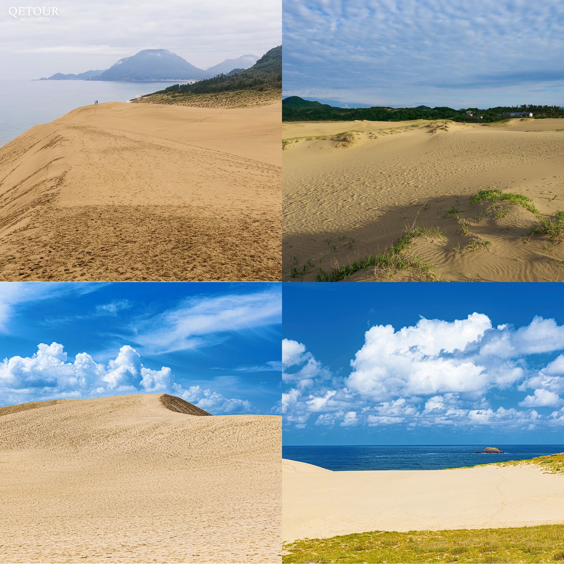 เนินทรายทตโตริ tottori sand dunes