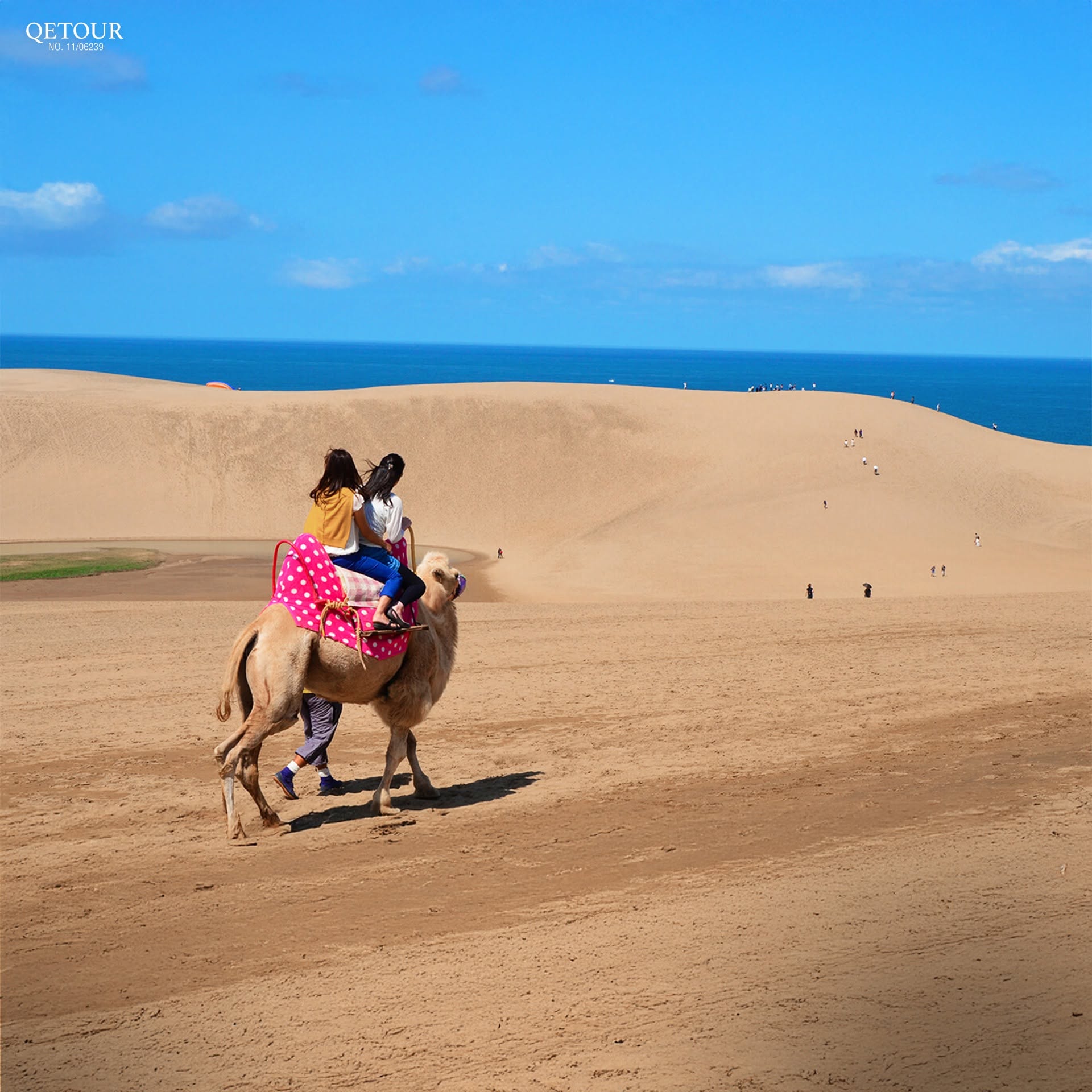 เนินทรายทตโตริ tottori sand dunes