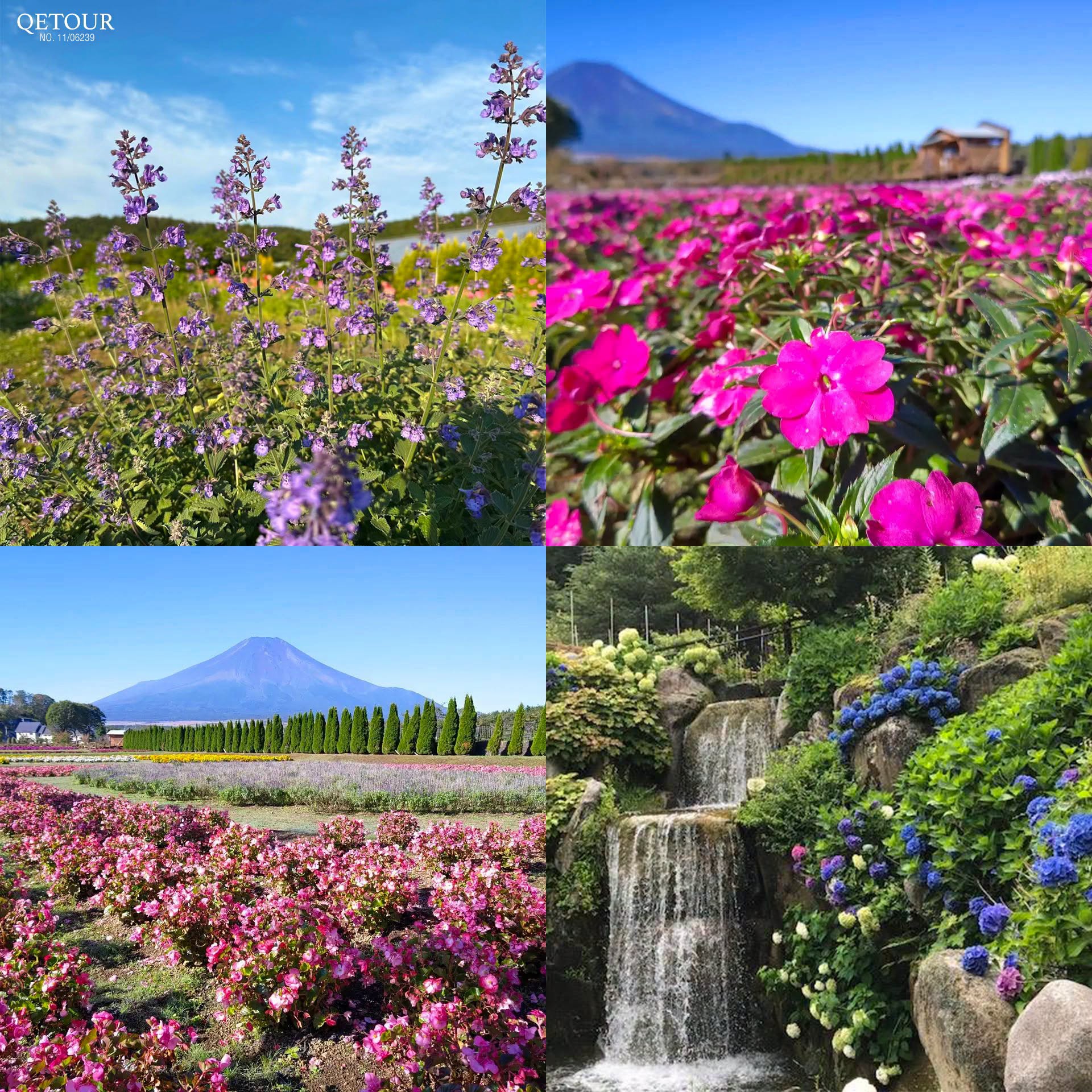 สวนดอกไม้ ฮานาโนะมิยาโกะ